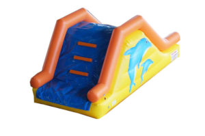 Gonfiabile Acquatico Scivolo Delfino
