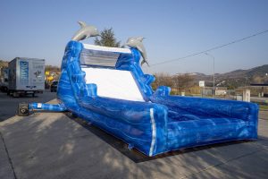 Scivolo Gonfiabile Acquatico Delfino